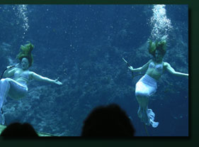 mermaids image