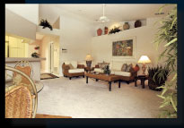 the Palm Beach image 3